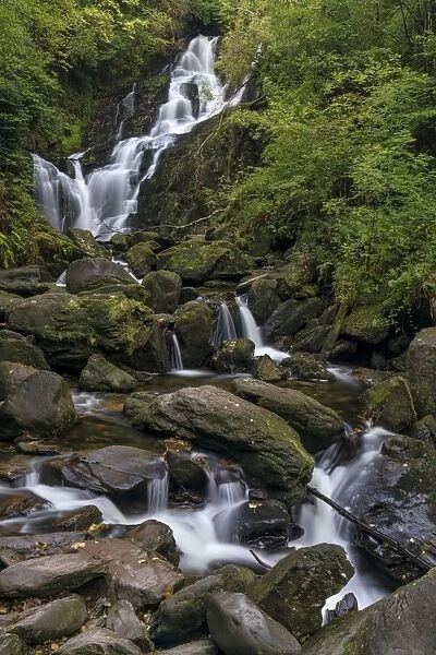 Torc Waterfall, County Kerry, Munster, Republic of Ireland, Europe