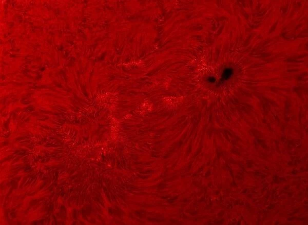 H-alpha Sun in red with sunspot