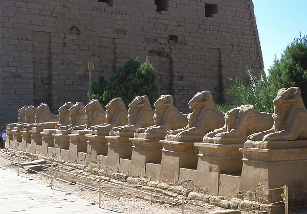 Line of ram-headed sphinxes, temple of Rameses II, Karnak, Egypt, 13th century BC