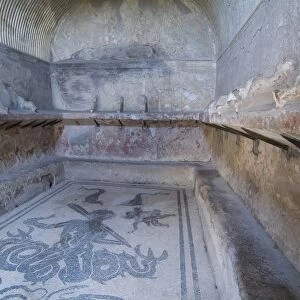Bath house mosaic from Herculaneum