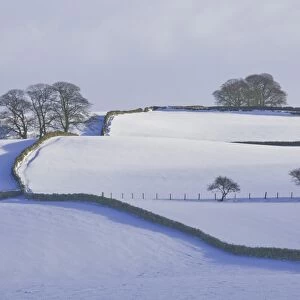 Lower Pennines with snow, Cumbria, England, United Kingdom, Europe