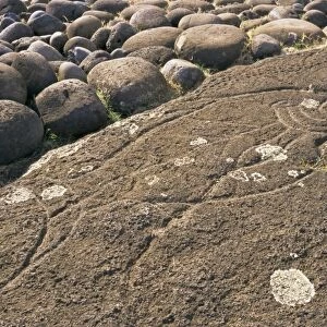Petroglyph of tuna fish, Ahu Tongariki, Easter Island, Chile, Pacific