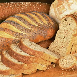 A selection of bread loaves and bread slices