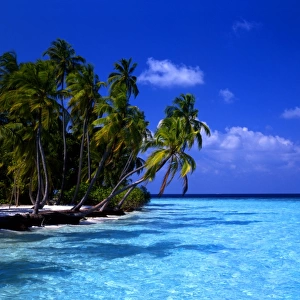 T4. 10 Maldives. Little Bandos island