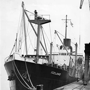 The 2, 879-ton steamer Iceland berthed at Tyne Dock
