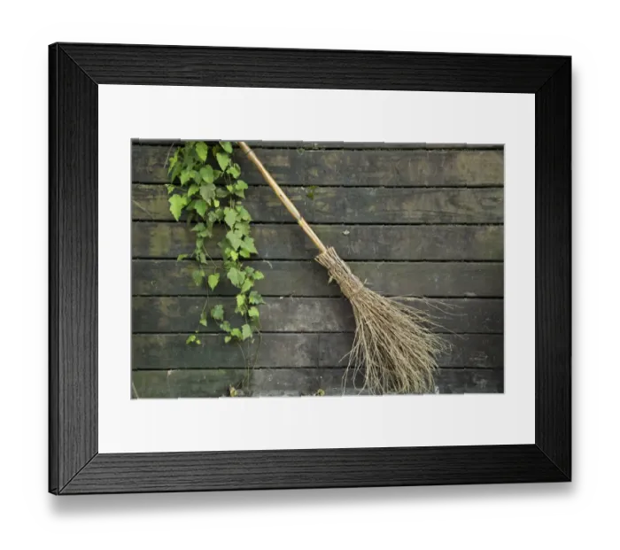 Framed Print : garden, horticulture, leaf, leaves, vine, ivy, plant, green, fence, panel, wood, broom Framed Print : garden, horticulture, leaf, leaves, vine, ivy, plant, green, fence, panel, wood, broom