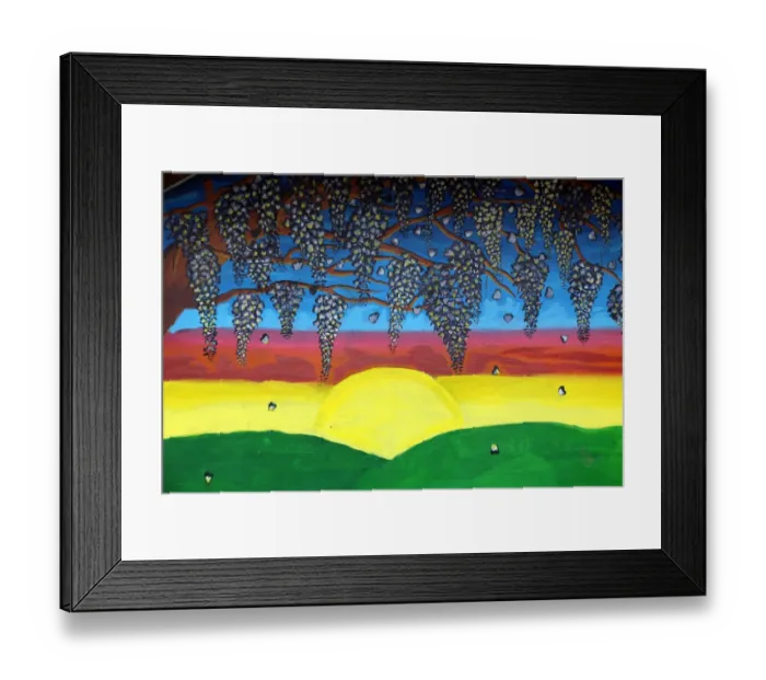 Framed Print : Wisteria on the wall Framed Print : Wisteria on the wall