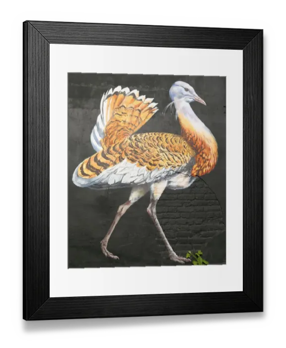 Framed Print : Bird on the wall