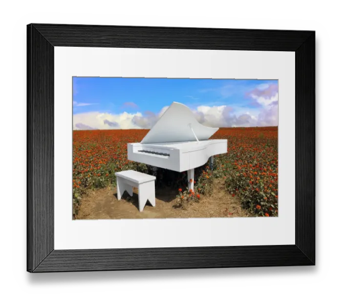 Framed Print : Grand piano in zinnia field