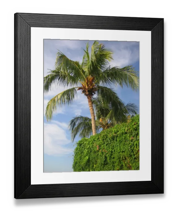 Framed Print : Tanjung Bungah, Penang, Malaysia