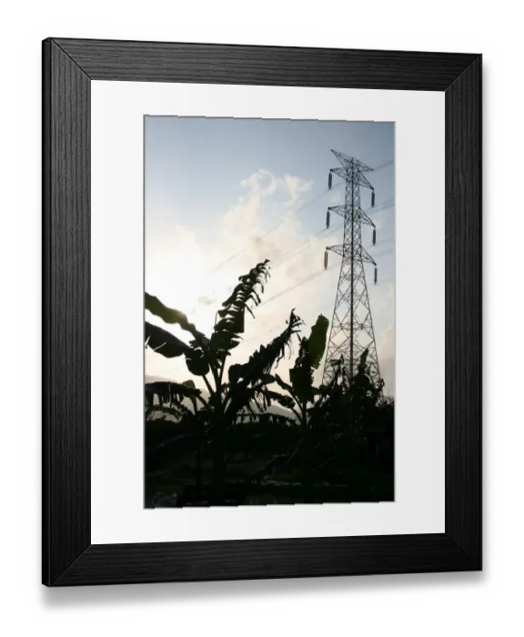 Framed Print : Hongshulin Mangrove, Hongshulin, Taipei County, Taiwan Framed Print : Hongshulin Mangrove, Hongshulin, Taipei County, Taiwan