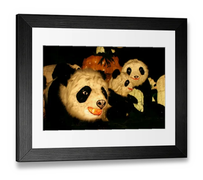 Framed Print : Taipei Lantern Festival 2009, Taipei Framed Print : Taipei Lantern Festival 2009, Taipei