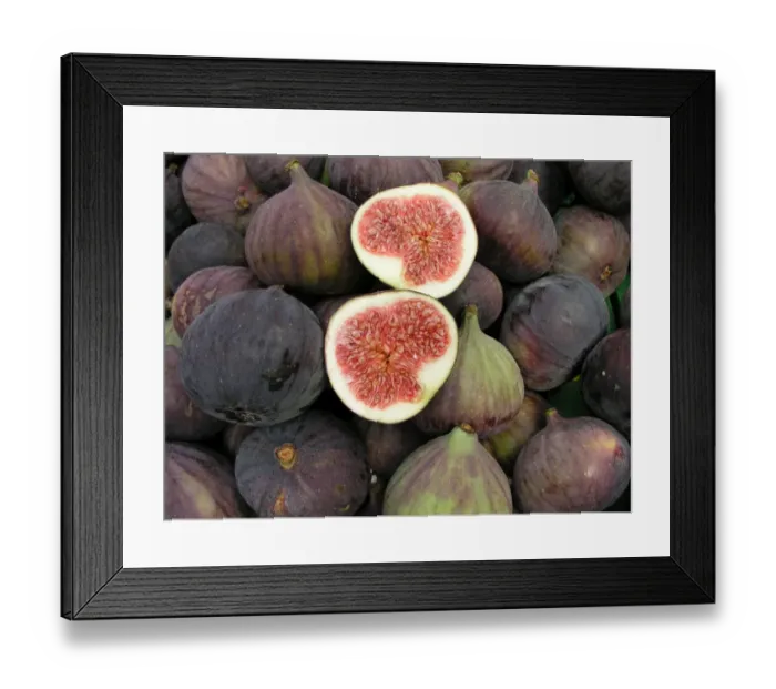Framed Print : Fresh figs Framed Print : Fresh figs