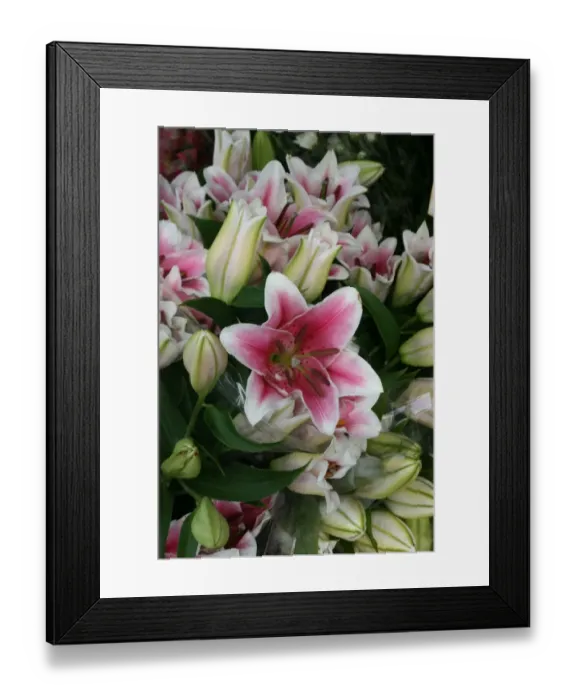 Framed Print : Lilies. For commercial use please contact Photoslot at Framed Print : Lilies. For commercial use please contact Photoslot at