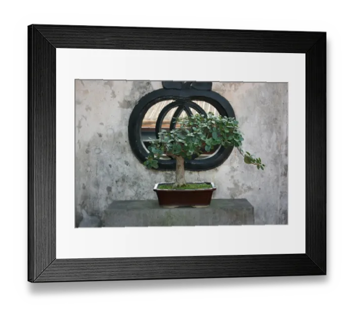 Framed Print : Bosani at The Lin Family Mansion and Garden, Taipei