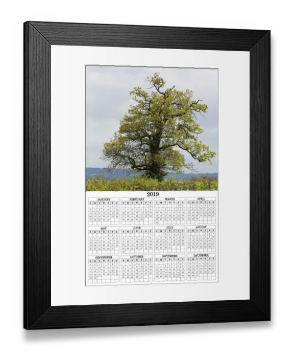 Framed Print : Tree calendar 2019 poster