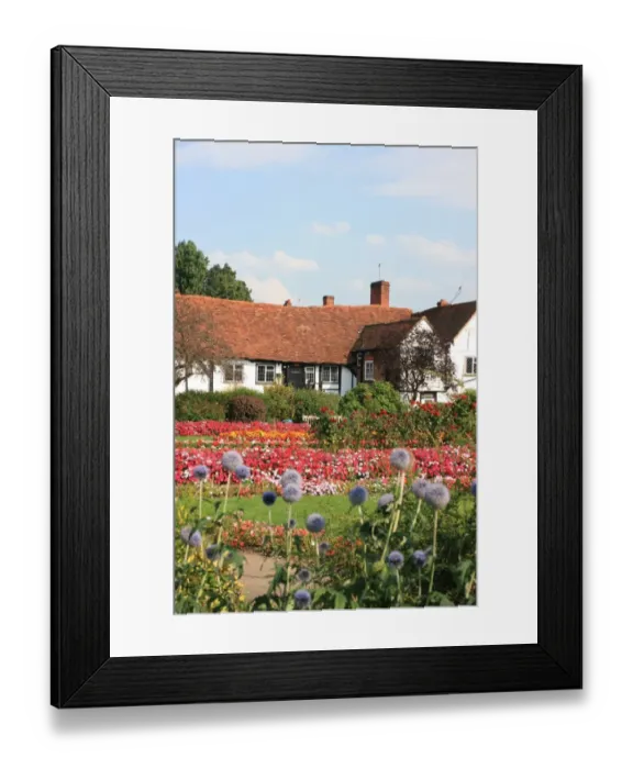 Framed Print : Flowerbeds at Amersham, Buckinghamshire
