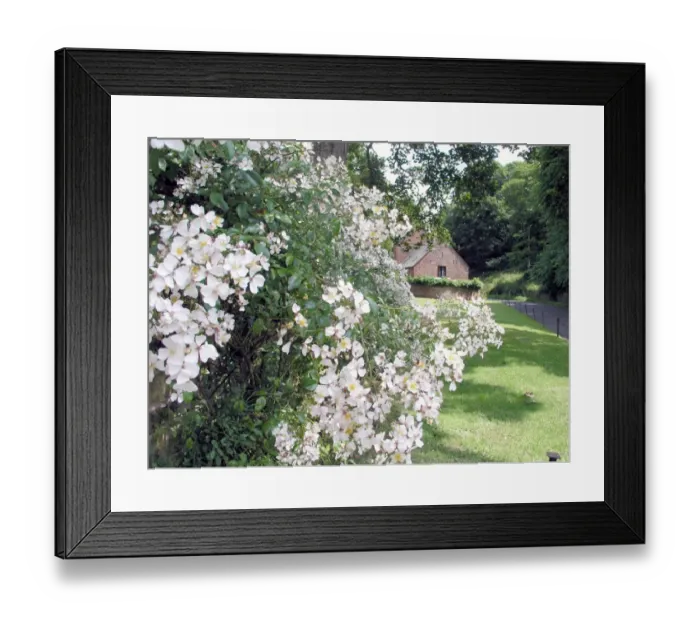 Framed Print : Coombe Florey, Somerset Framed Print : Coombe Florey, Somerset