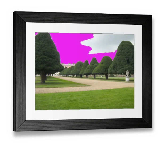 Framed Print : Yew Trees at Hampton Court, UK Framed Print : Yew Trees at Hampton Court, UK