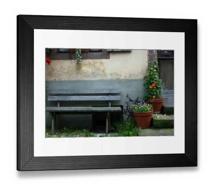 Framed Print : Bench and flowers Framed Print : Bench and flowers