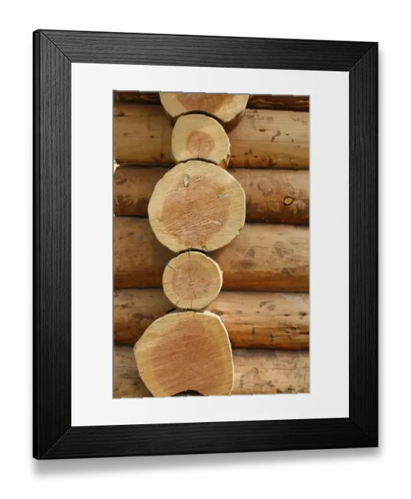Framed Print : Tree logs. For commercial use please contact Photoslot at