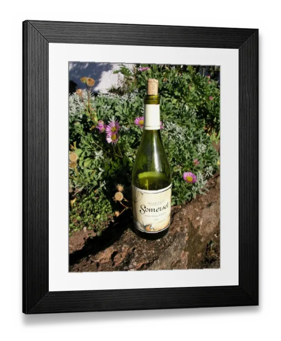 Framed Print : Somerset, English wine