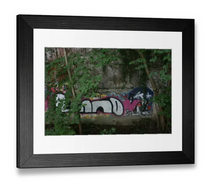Framed Print : Graffiti in the forest, Switzerland