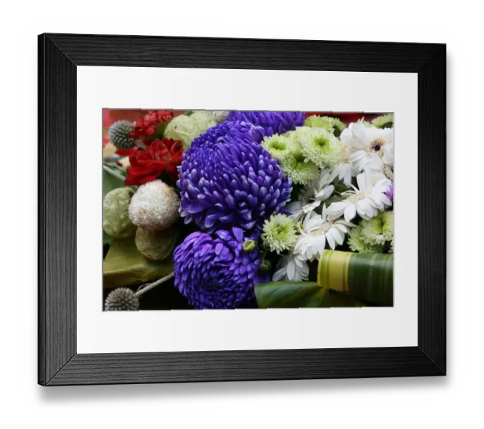 Framed Print : Chrysanthemum Framed Print : Chrysanthemum