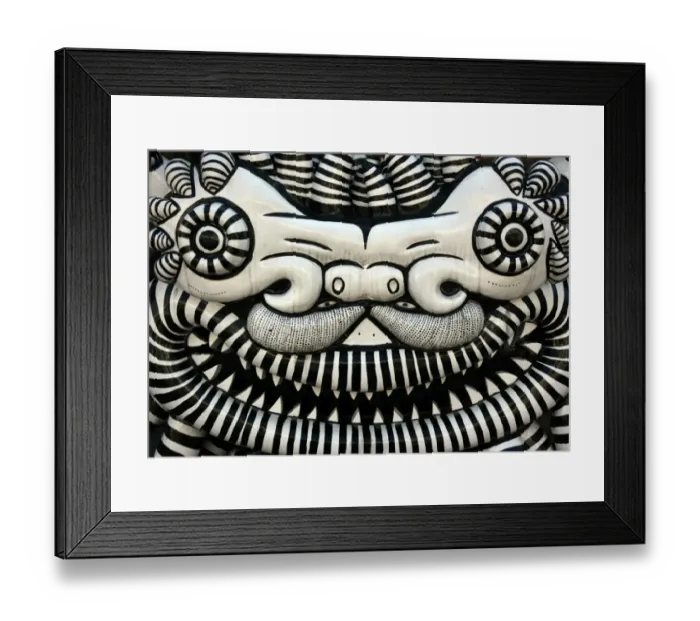 Framed Print : Dragon face