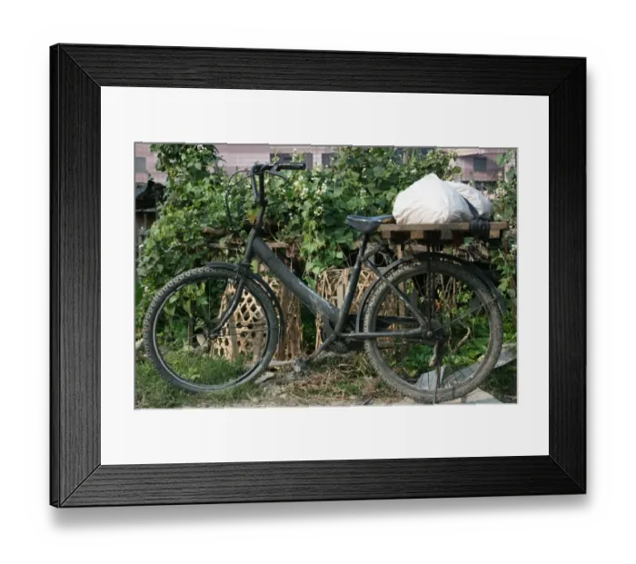 Framed Print : Bicycle in Taipei garden, Taiwan Framed Print : Bicycle in Taipei garden, Taiwan