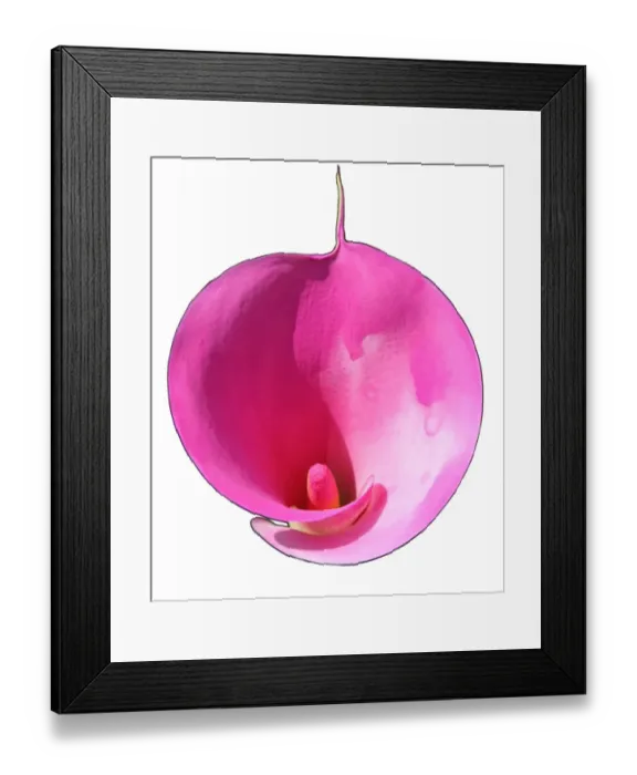 Framed Print : Lily
