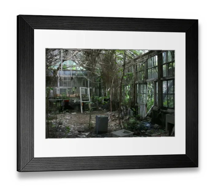 Framed Print : Abandoned greenhouse, National Taiwan University, Taipei, Taiwan
