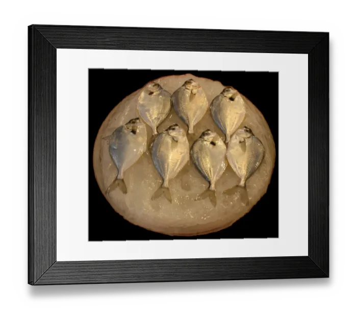 Framed Print : Fish on ice Framed Print : Fish on ice