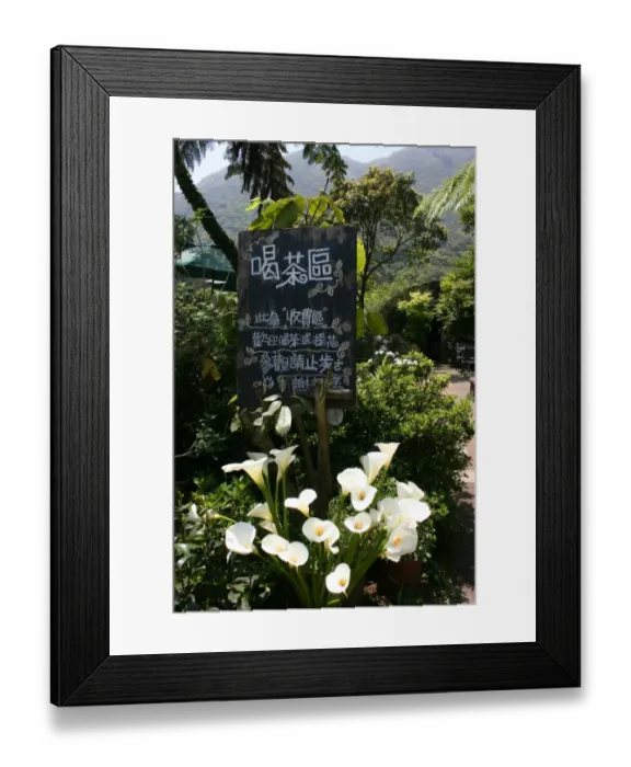 Framed Print : Lilies at Calla Lily Plantation, Taiwan Framed Print : Lilies at Calla Lily Plantation, Taiwan