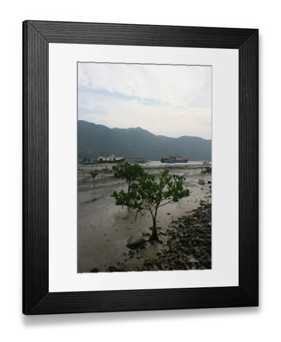 Framed Print : Tree in Water