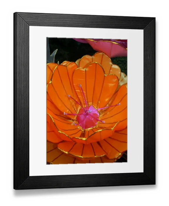 Framed Print : Lantern Flower at Taipei Lantern Festival 2012, Taiwan Framed Print : Lantern Flower at Taipei Lantern Festival 2012, Taiwan