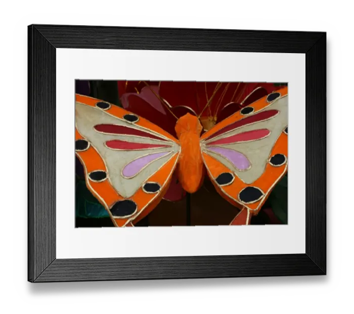 Framed Print : Butterfly at Taipei Lantern Festival 2012, Taiwan Framed Print : Butterfly at Taipei Lantern Festival 2012, Taiwan