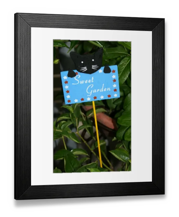 Framed Print : Sweet garden Framed Print : Sweet garden