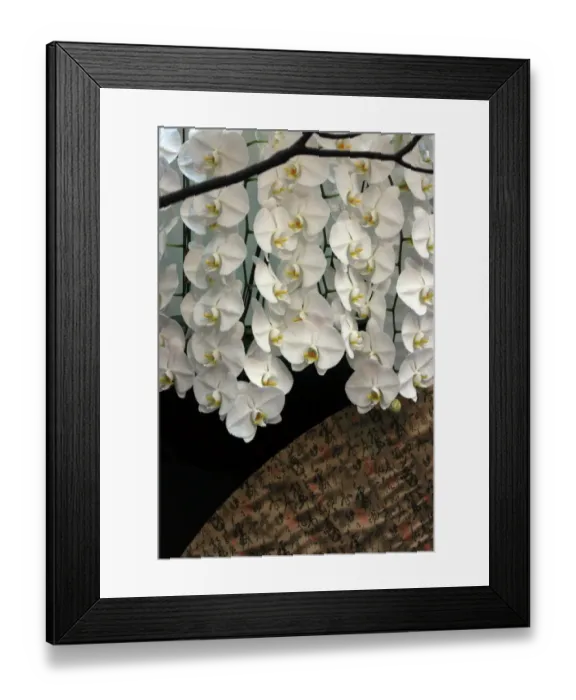 Framed Print : Taiwan International Orchid Show 2013, Chiayi, Taiwan