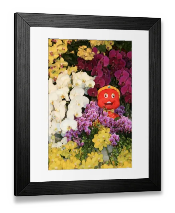 Framed Print : Taiwan International Orchid Show 2013, Chiayi, Taiwan