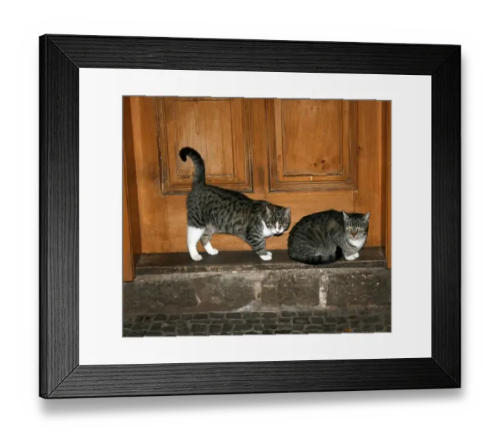 Framed Print : Waiting for the milkman