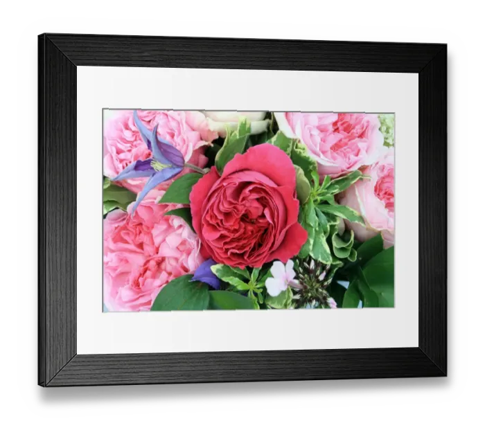 Framed Print : David Austin Cut Roses Framed Print : David Austin Cut Roses