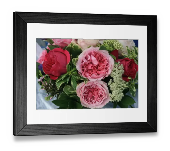 Framed Print : David Austin Cut Roses Framed Print : David Austin Cut Roses
