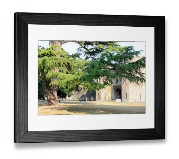 Framed Print : Bishops Palace, Wells Cathedral, Wells, Somerset, UK
