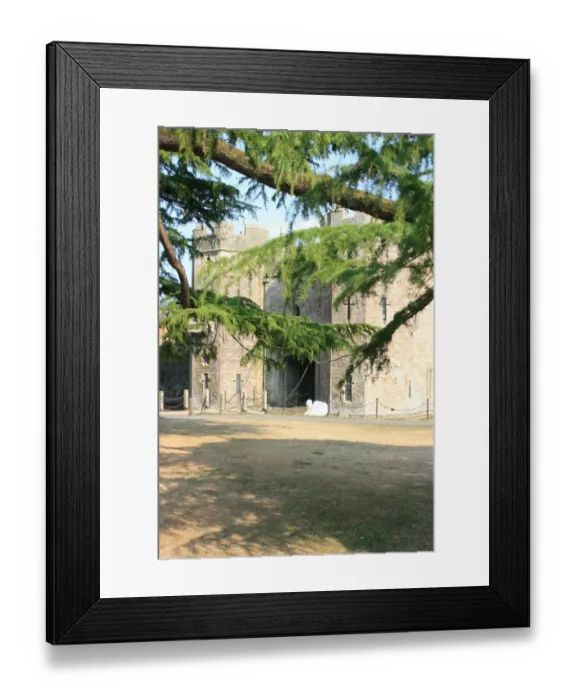 Framed Print : Bishops Palace, Wells Cathedral, Wells, Somerset, UK
