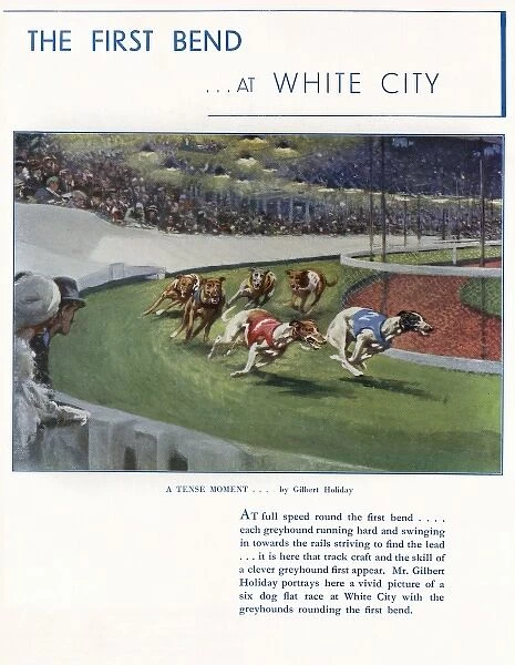 Greyhounds at White City