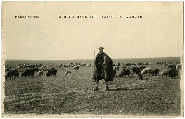Shepherd on the Plains of Vardar, Macedonia - WW1 era