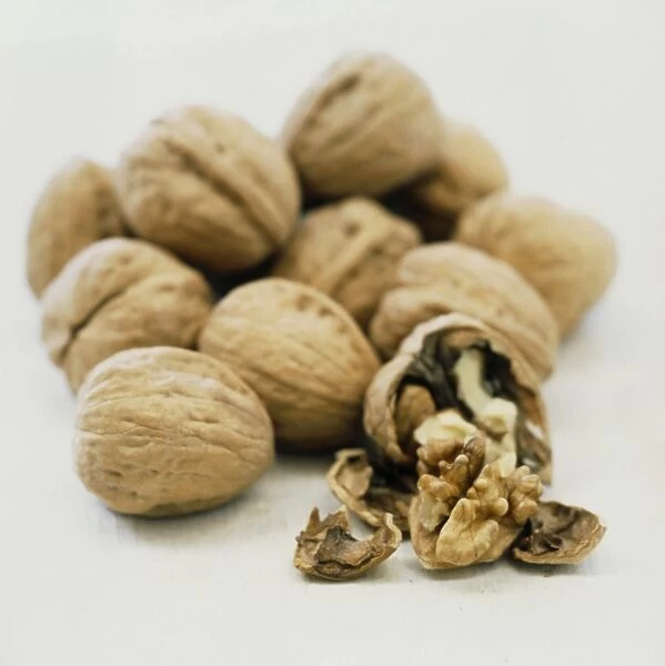 Walnuts ( Juglans regia ), with one opened.Walnuts are a good dietary source