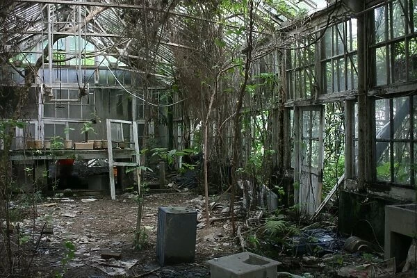 Abandoned greenhouse, National Taiwan University, Taipei, Taiwan