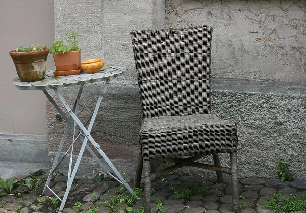 Basket chair and plants